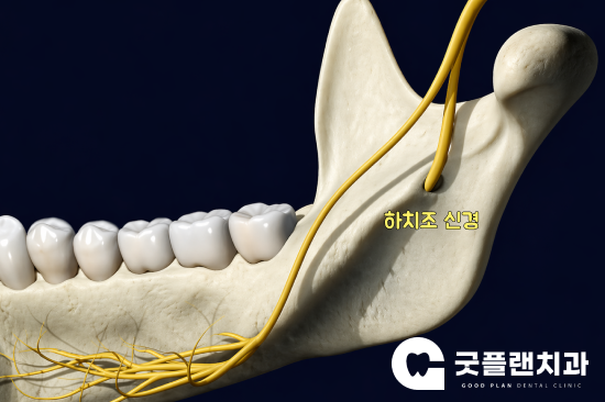 진료노트 본문 이미지