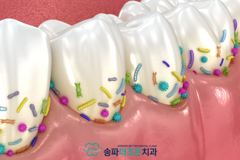 진료노트 본문 이미지