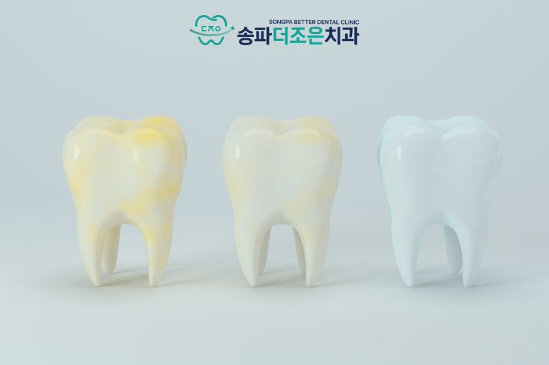 진료노트 본문 이미지