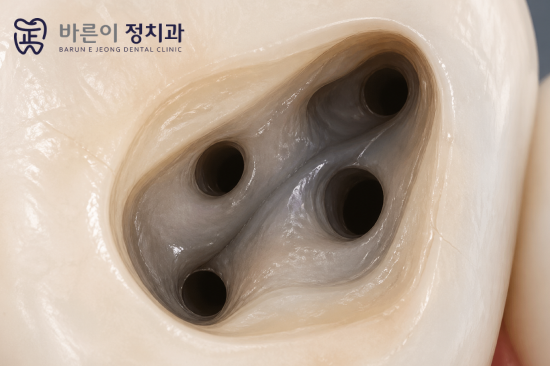 진료노트 본문 이미지