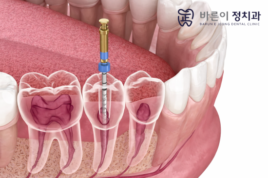 진료노트 본문 이미지