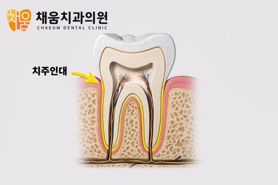 진료노트 본문 이미지