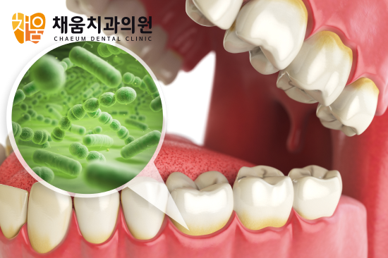 진료노트 본문 이미지
