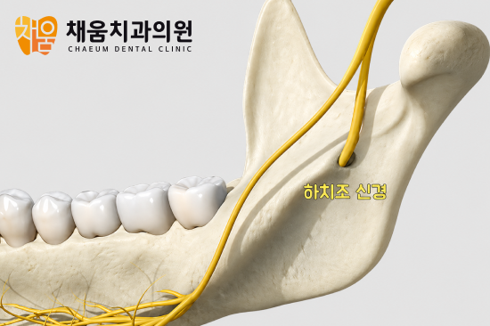 진료노트 본문 이미지
