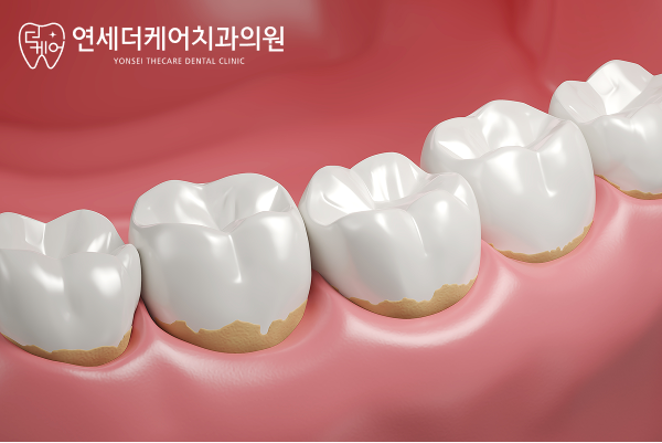 진료노트 본문 이미지