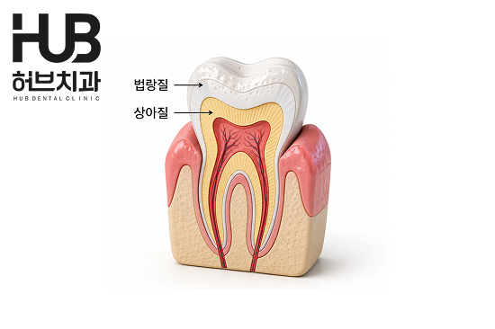 아산충치치료, 단 음식 먹을 때 찌릿한 통증 왜 생길까요? - 1