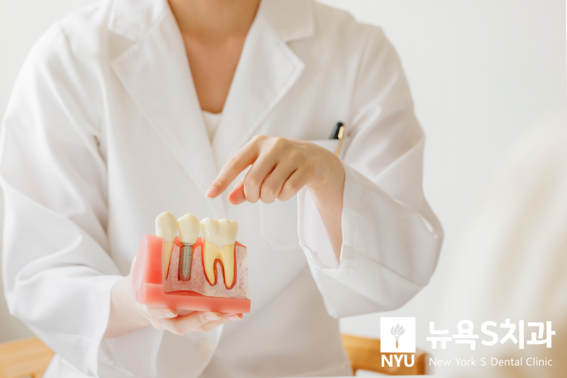 SEOUL Dental Clinic, 서울 외국인 치과, 언어보다 중요한 것은 정확한 진료입니다. Here's What You Should Know - 2